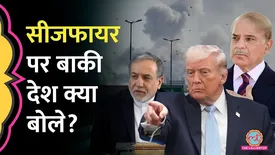 related-article-banner-image