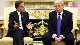 related-article-banner-image