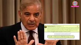 related-article-banner-image