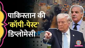 related-article-banner-image