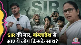 related-article-banner-image