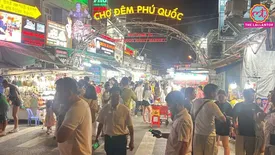 related-article-banner-image