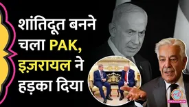 related-article-banner-image