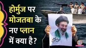 related-article-banner-image