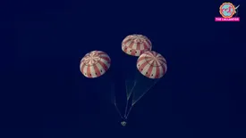 related-article-banner-image