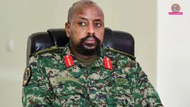 related-article-banner-image