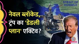 related-article-banner-image