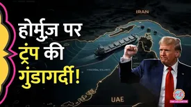 related-article-banner-image