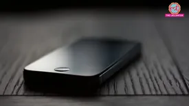 related-article-banner-image