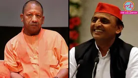 related-article-banner-image