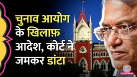 related-article-banner-image