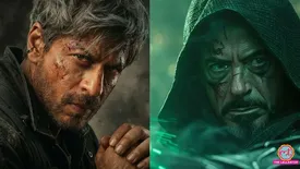 related-article-banner-image