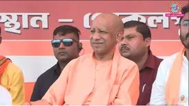 related-article-banner-image