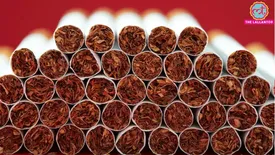 related-article-banner-image