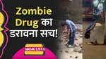 zombie drug wiki