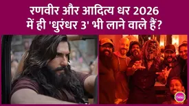 related-article-banner-image