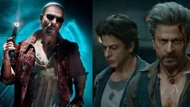 related-article-banner-image