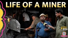 related-article-banner-image