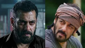 related-article-banner-image