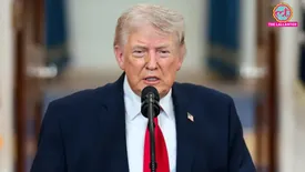 related-article-banner-image