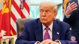 related-article-banner-image