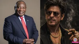 related-article-banner-image