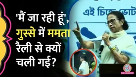 related-article-banner-image