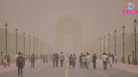 related-article-banner-image