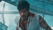 Shahrukh Khan in Dunki, Shahrukh Khan King
