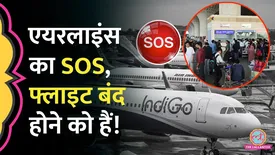 related-article-banner-image