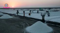 Gujarat Salt Economy