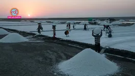 related-article-banner-image