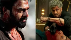 related-article-banner-image