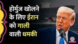 related-article-banner-image