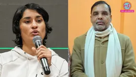 related-article-banner-image