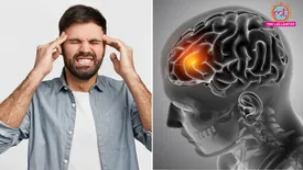 related-article-banner-image
