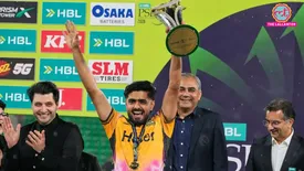related-article-banner-image