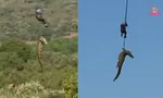 Crocodile victim remains found