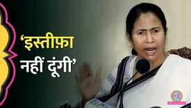 related-article-banner-image