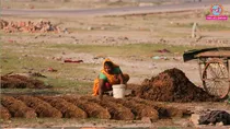 LPG crisis 