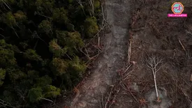 related-article-banner-image