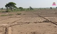 MP land scam