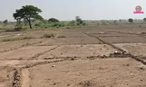 MP land scam