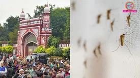 related-article-banner-image