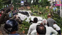 heavy rain and storm many lives lost in prayagraj bhadohi fatehpur