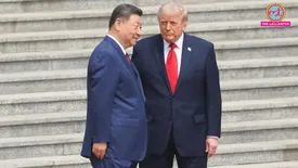 related-article-banner-image