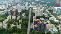 trending-image