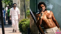 prabhas, sandeep reddy vanga, spirit,