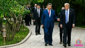 related-article-banner-image