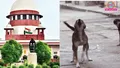 trending-image